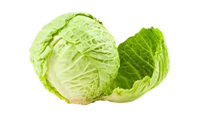 创意新品，味蕾探险！ - 开云
